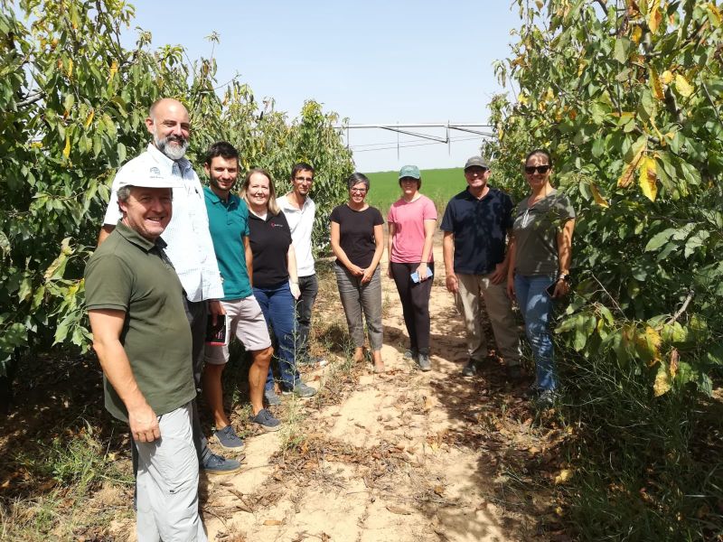 Proyecto “#COVERCROPS Cultivo y aprovechamiento de especies aromáticas y herbáceas entre frutales